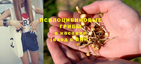 тгк Алзамай
