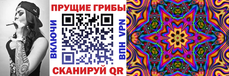 Галлюциногенные грибы Psilocybine cubensis  Морозовск 